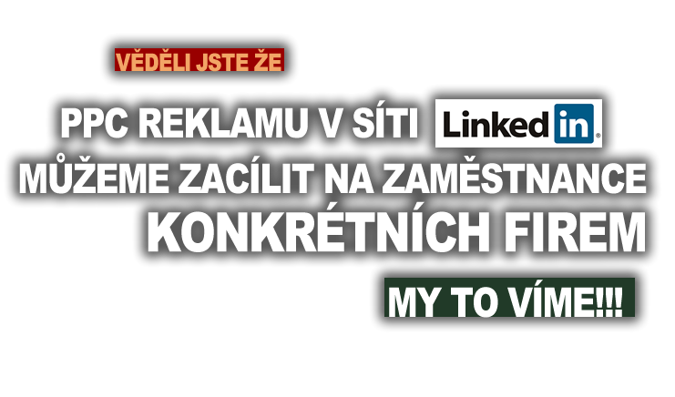 PPC reklamu v sti LinkedIn meme zaclit na zamstnance konkrtnch firem